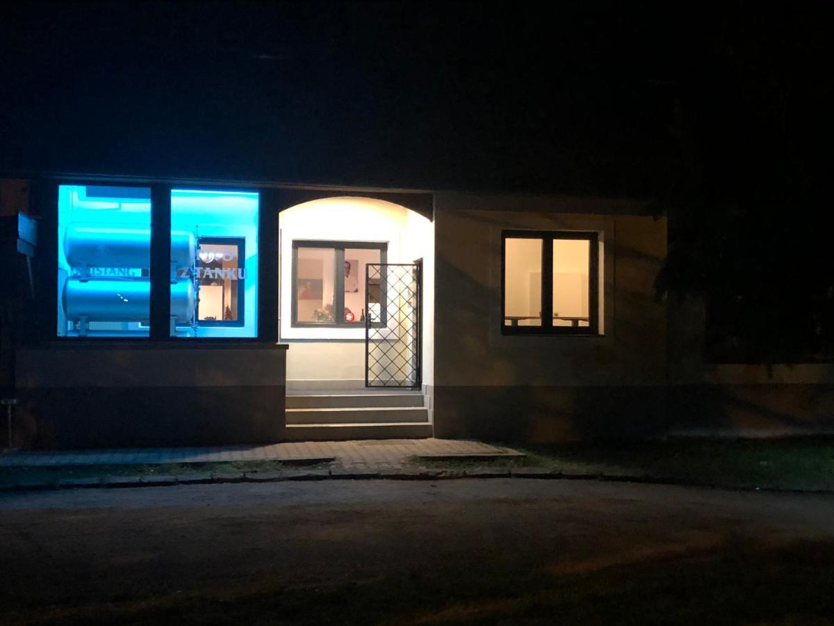 Penzion&Pizzerie U Massima Вишков Екстер'єр фото
